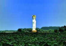 白洋淀景区